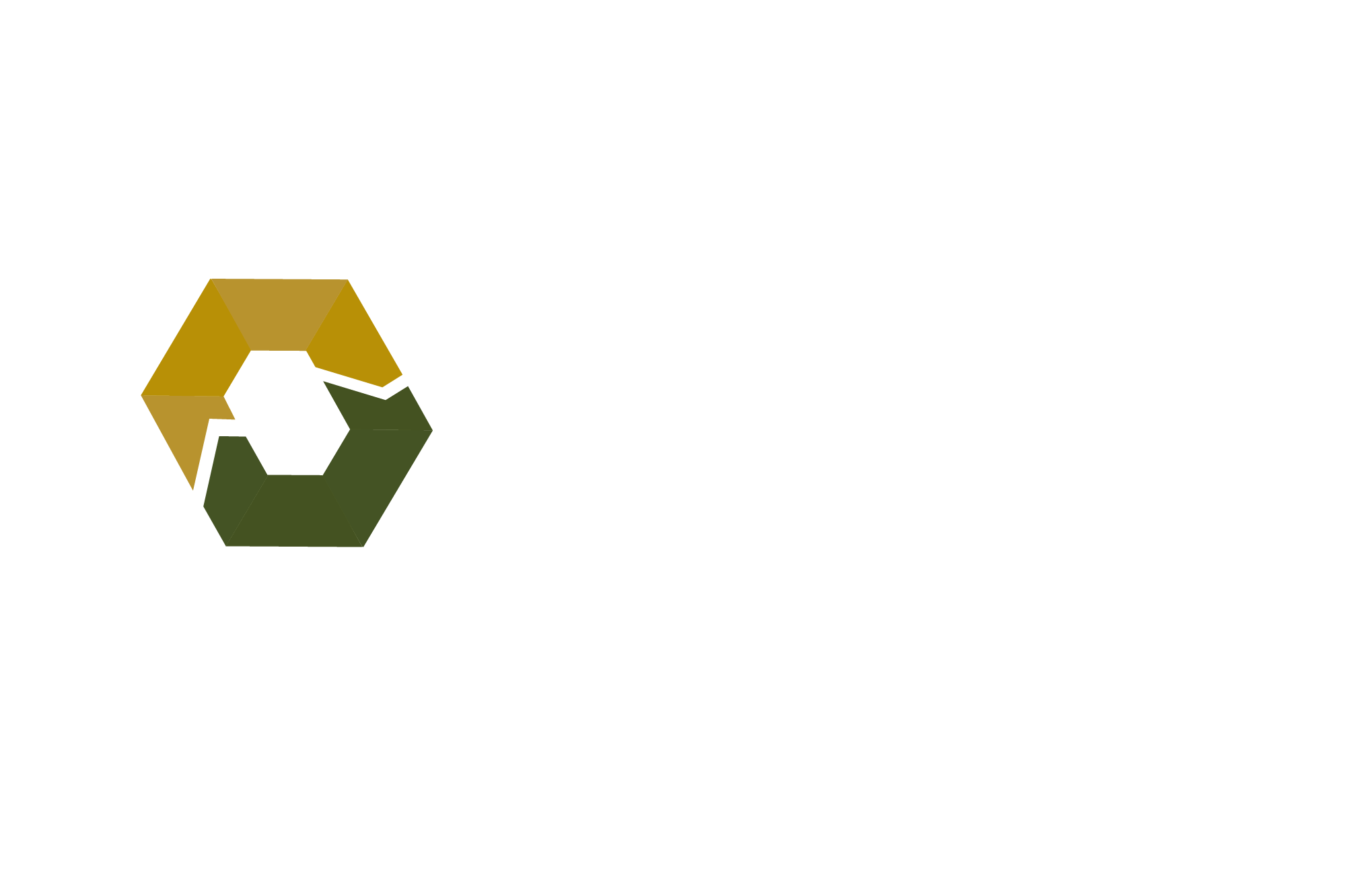 Business Consulting IMA logo